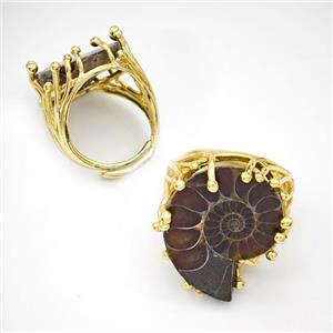 Copper Ring Pave Ammonite Fossil Adjustable Gold Plated, approx 20-25mm, 18mm dia