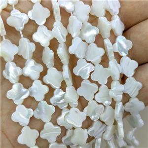 White MOP Shell Beads Clover, approx 10mm, 39pcs per st