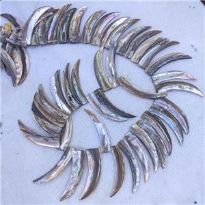 Abalone Shell Horn Beads Topdrilled, approx 10-45mm