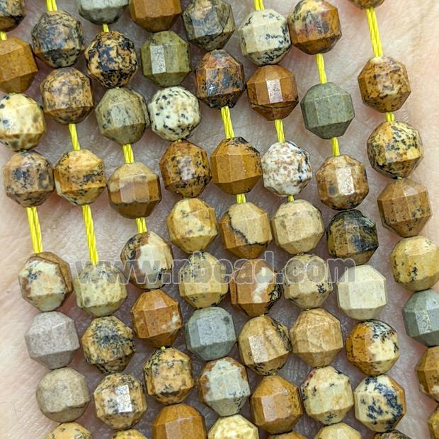 Natural Picture Jasper Prism Beads