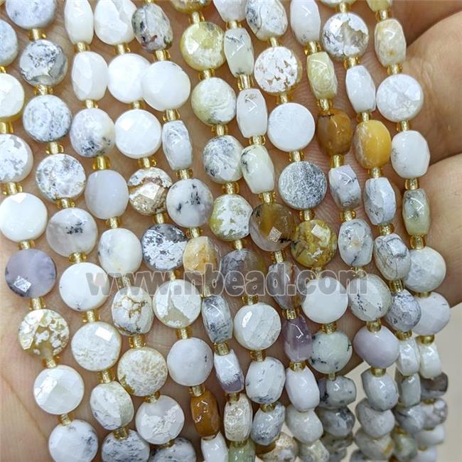 Natural White Moss Opal Beads Faceted Coin