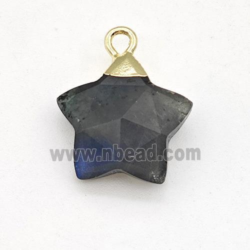 Natural Labradorite Star Pendant