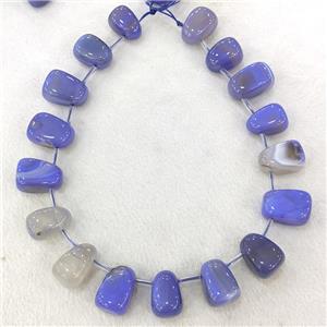 Natural Agate Teardrop Beads Graduated Blue Dye Topdrilled, approx 15-26mm