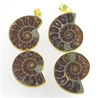 double Ammonite Fossil pendant, gold plated, approx 20-50mm