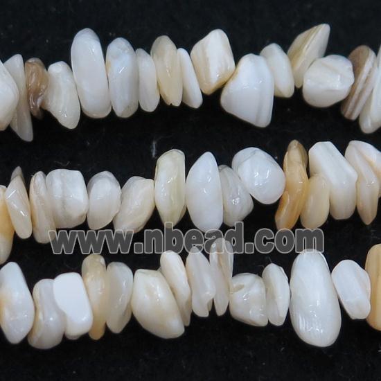 shell chip beads