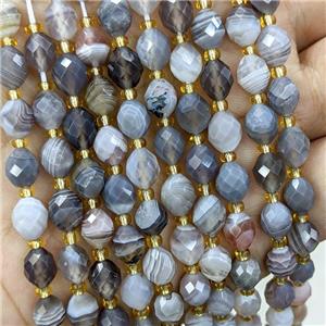 Natural Botswana Agate Beads Faceted Rice Gray, approx 6-8mm