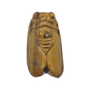 Tiger Eye Stone Cicada charm pendant, approx 20-40mm