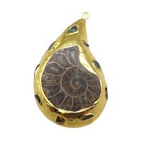 Ammonite Fossil pendant, gold plated, approx 30-50mm