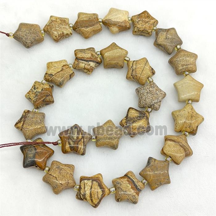 Natural Picture Jasper Star Beads