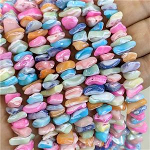 Freshwater Shell Beads Freeform Mixed Color Dye, approx 8-14mm