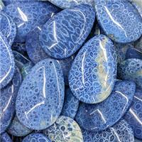 Natural Coral Fossil Teardrop Pendant Blue Dye, approx 30-62mm