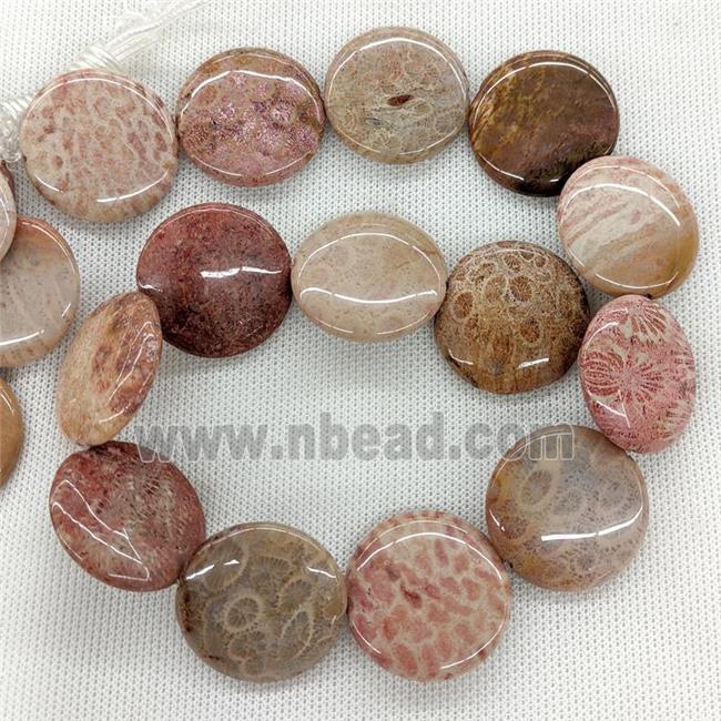 Natural Coral Fossil Beads Coin Flat Round