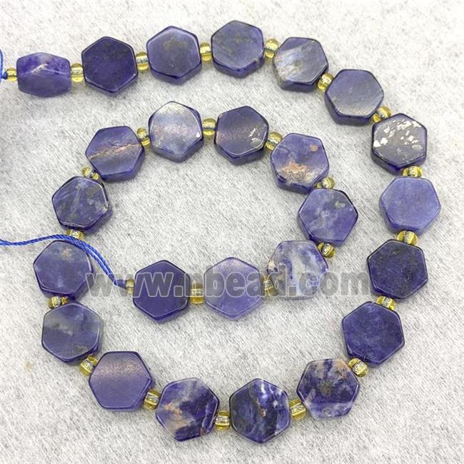 Natural Blue Sodalite Beads Hexagon