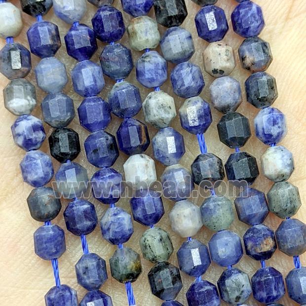 Natural Blue Sodalite Beads Prism