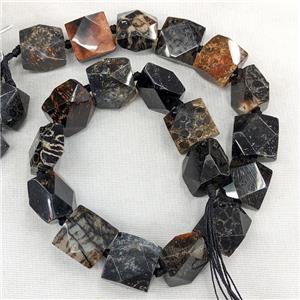 Natural Coral Fossil Square Beads Faceted Black Dye, approx 18x18mm