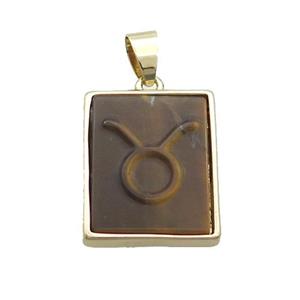 Natural Tiger Eye Stone Pendant Zodiac Leo Rectangle Gold Plated, approx 16-20mm